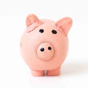 Image of a piggy bank for the School fee extras post