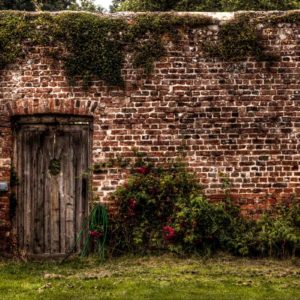 Image of a walled garden for the Teaching the More Able, Gifted and Talented child post