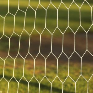 Image of a football net for the Moving between state and independent schools post