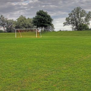 Image of a football pitch for the School sports facilities post